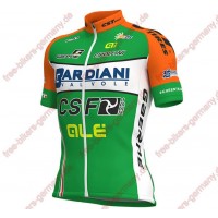 Radsport BARDIANI CSF 2018 Trikot Kurzarm Radtrikot Kaufen