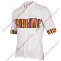 Radsport ENDURA Graphics Pinstripe Trikot Kurzarm Radtrikot Kaufen