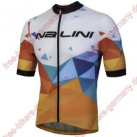 Profiteam 2018 Nalini AHS Discesa Blau Trikot Kurzarm 40002GT Radtrikot Kaufen