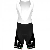 Fahrradbekleidung Radsport 2020 DECEUNINCK QUICK-STEP Irish Champion Trägerhosen Set Radtrikot Kaufen