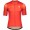 Fahrradbekleidung Radsport 2020 SCOTT RC TEAM 10 Trikot Kurzarm Outlet rot Radtrikot Kaufen