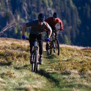 ALPS 8.0 Radtrikot langarm MTB/Freeride burgundy maroon