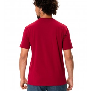 Men SPIRIT T-Shirt rot (carmine)