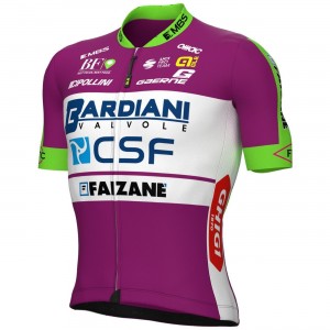 BARDIANI CSF FAIZANE' 2022 Radtrikot kurzarm(langer RV)-ALE Radsport-Profi-Team Radtrikot Kaufen BARDIANI CSF FAIZANE' 2022 Radtrikot kurzarm(langer RV)-ALE Radsport-Profi-Team Radtrikot Kaufen