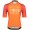 INEOS GRENADIERS 2022 training edition ICON Radtrikot kurzarm(langer RV)-Radsport-Profi-Team Radtrikot Kaufen