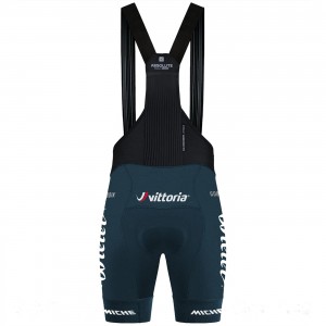 Herren Gobik Wilier Vittoria 2024 Absolute 6.0 K10 tragerhose Radtrikot Kaufen