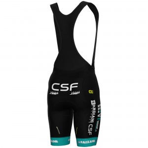 Herren Ale VF Group-Bardiani CSF-Faizane 2025 tragerhose Radtrikot Kaufen