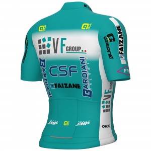 Herren Ale VF Group-Bardiani CSF-Faizane 2025 trikot Radtrikot Kaufen