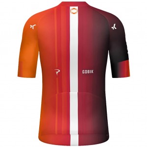 Herren Gobik Ineos Grenadiers 2025 Odyssey trikot Radtrikot Kaufen Herren Gobik Ineos Grenadiers 2025 Odyssey trikot Radtrikot Kaufen