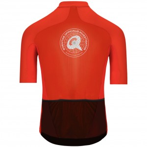Herren Q36.5 Gregarius Clima Dolomites Extreme trikot-Rot Radtrikot Kaufen